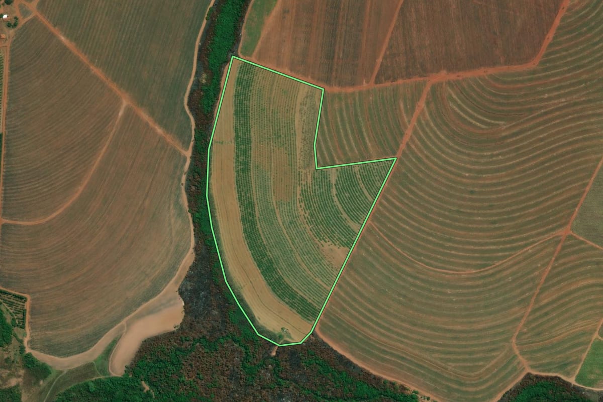 Imagem de satélite do imóvel rural em Fernando Prestes (SP), com o contorno declarado no CAR desenhado por cima.
