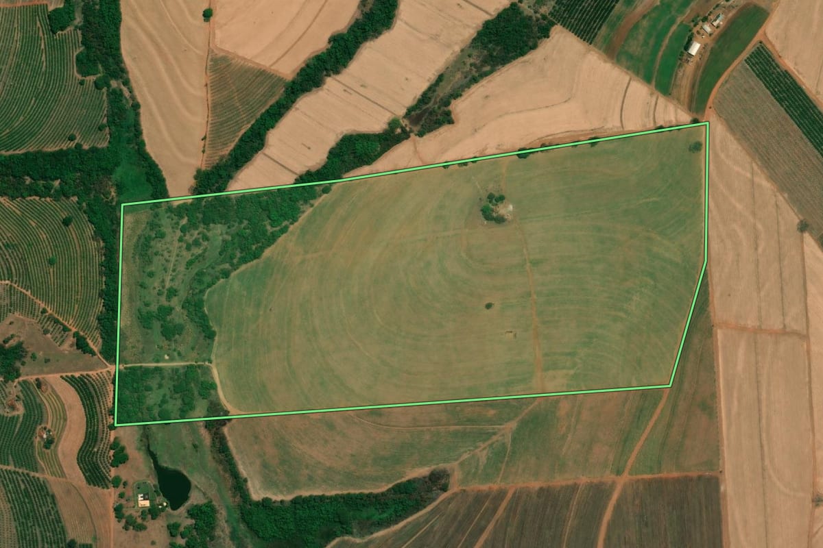 Imagem de satélite do imóvel rural em Fernando Prestes (SP), com o contorno declarado no CAR desenhado por cima.