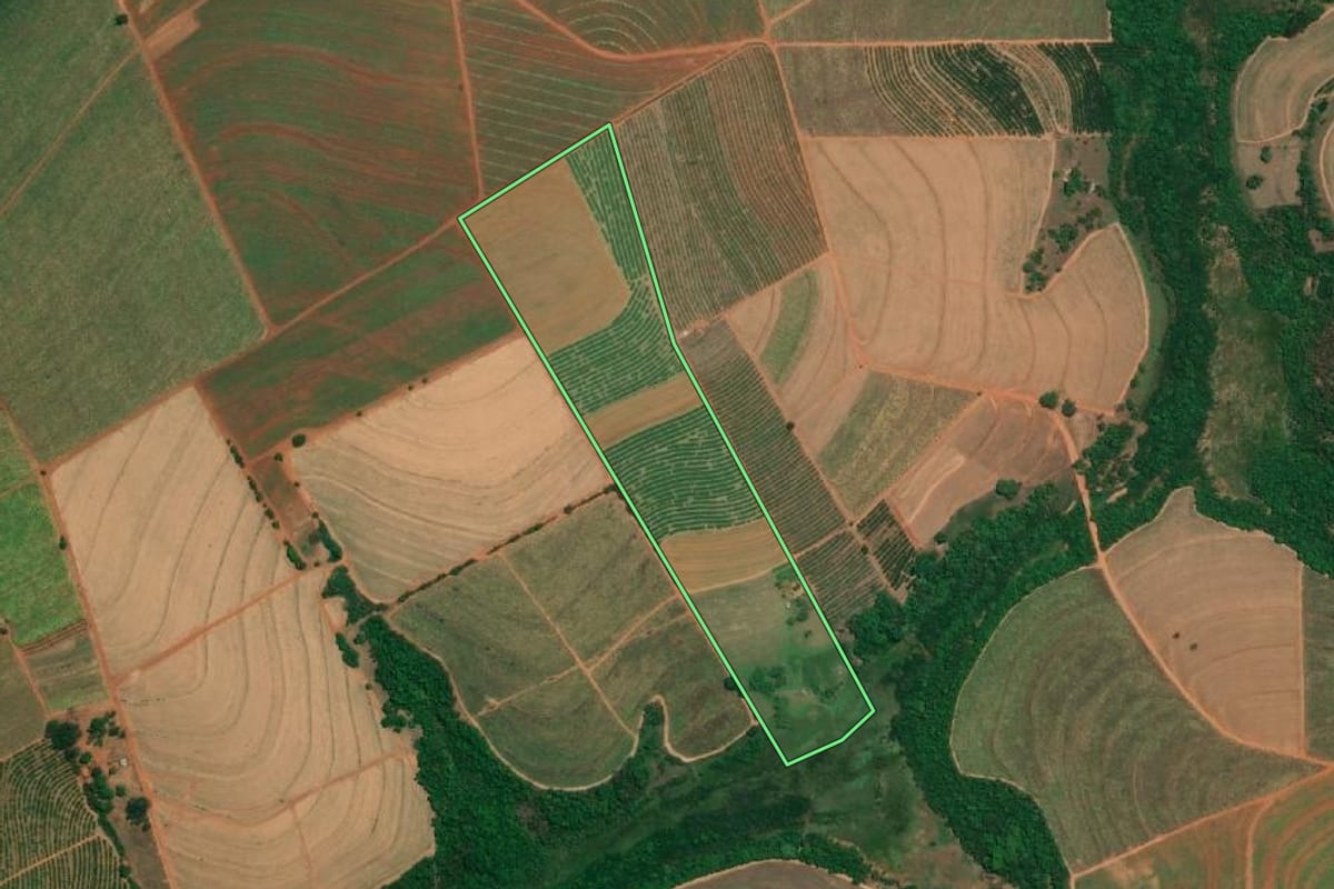 Imagem de satélite do imóvel rural em Fernando Prestes (SP), com o contorno declarado no CAR desenhado por cima.