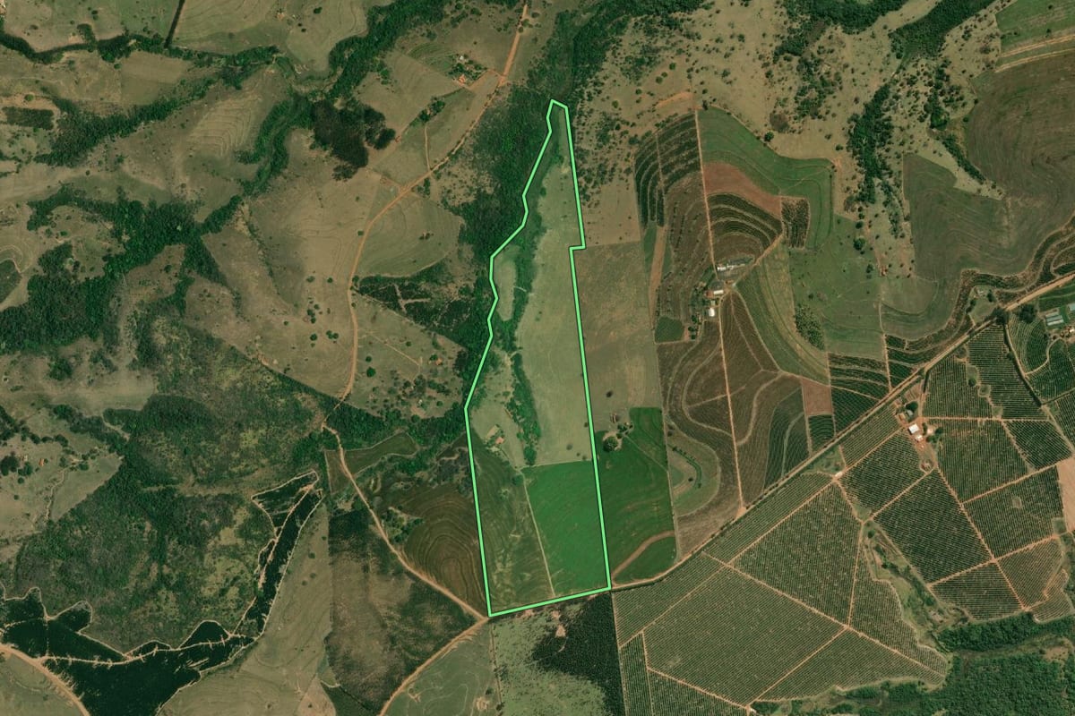 Imagem de satélite do imóvel rural em Fernão (SP), com o contorno declarado no CAR desenhado por cima.