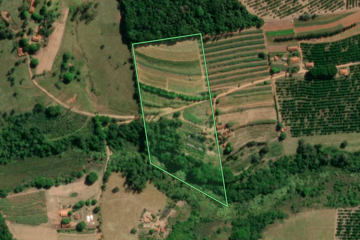Imagem de satélite do imóvel rural em Fernão (SP), com o contorno declarado no CAR desenhado por cima.