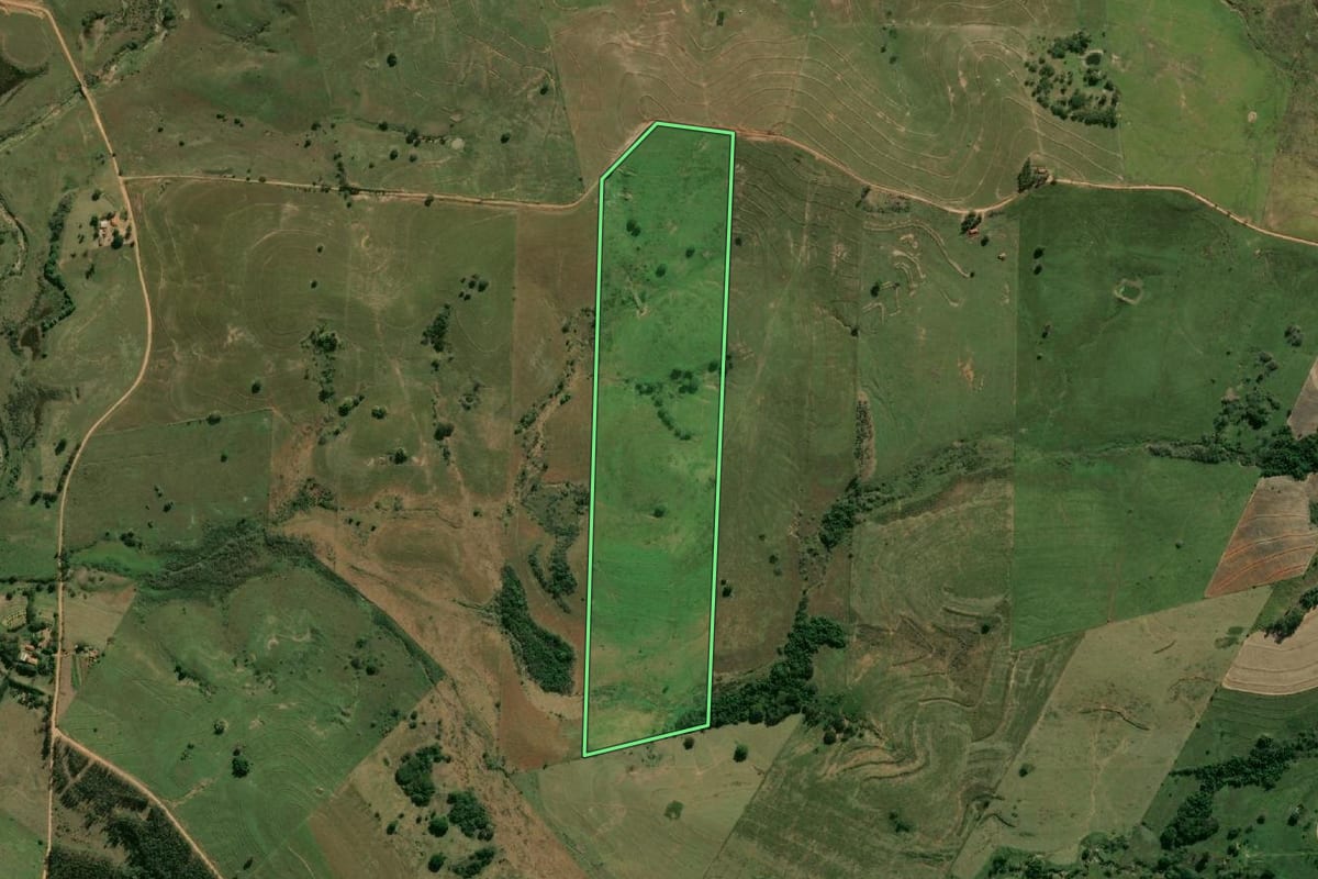 Imagem de satélite do imóvel rural em Flora Rica (SP), com o contorno declarado no CAR desenhado por cima.