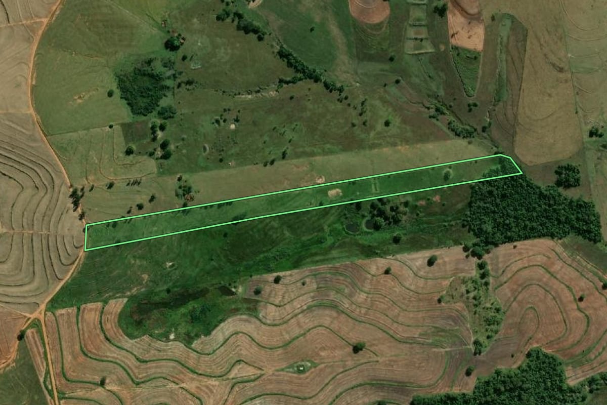 Imagem de satélite do imóvel rural em Flora Rica (SP), com o contorno declarado no CAR desenhado por cima.