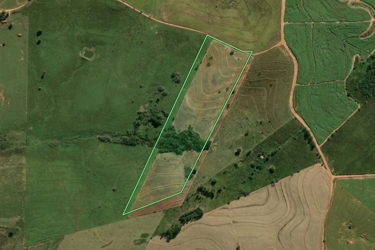 Imagem de satélite do imóvel rural em Flora Rica (SP), com o contorno declarado no CAR desenhado por cima.