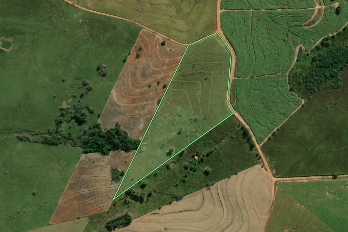 Imagem de satélite do imóvel rural em Flora Rica (SP), com o contorno declarado no CAR desenhado por cima.