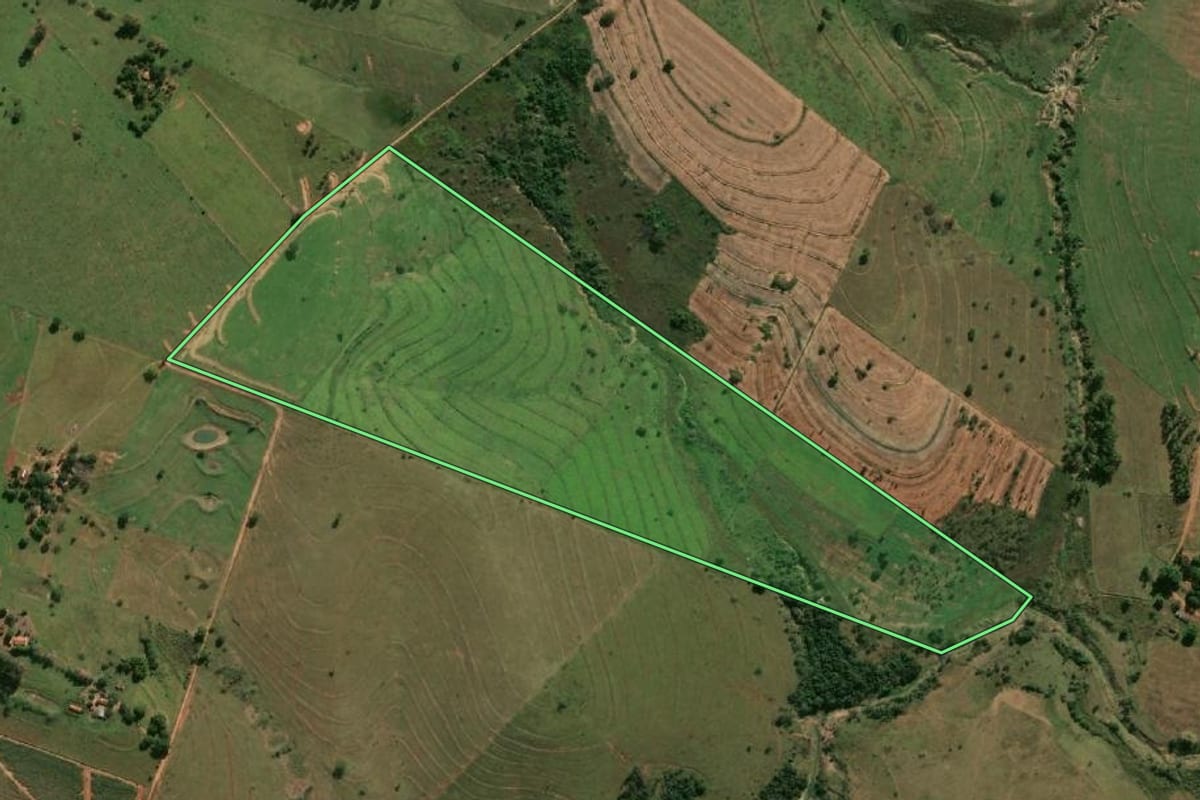 Imagem de satélite do imóvel rural em Flora Rica (SP), com o contorno declarado no CAR desenhado por cima.