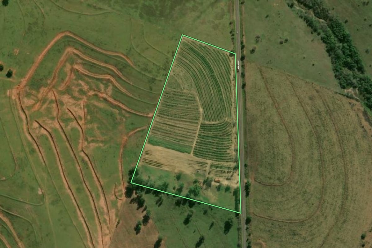 Imagem de satélite do imóvel rural em Flora Rica (SP), com o contorno declarado no CAR desenhado por cima.
