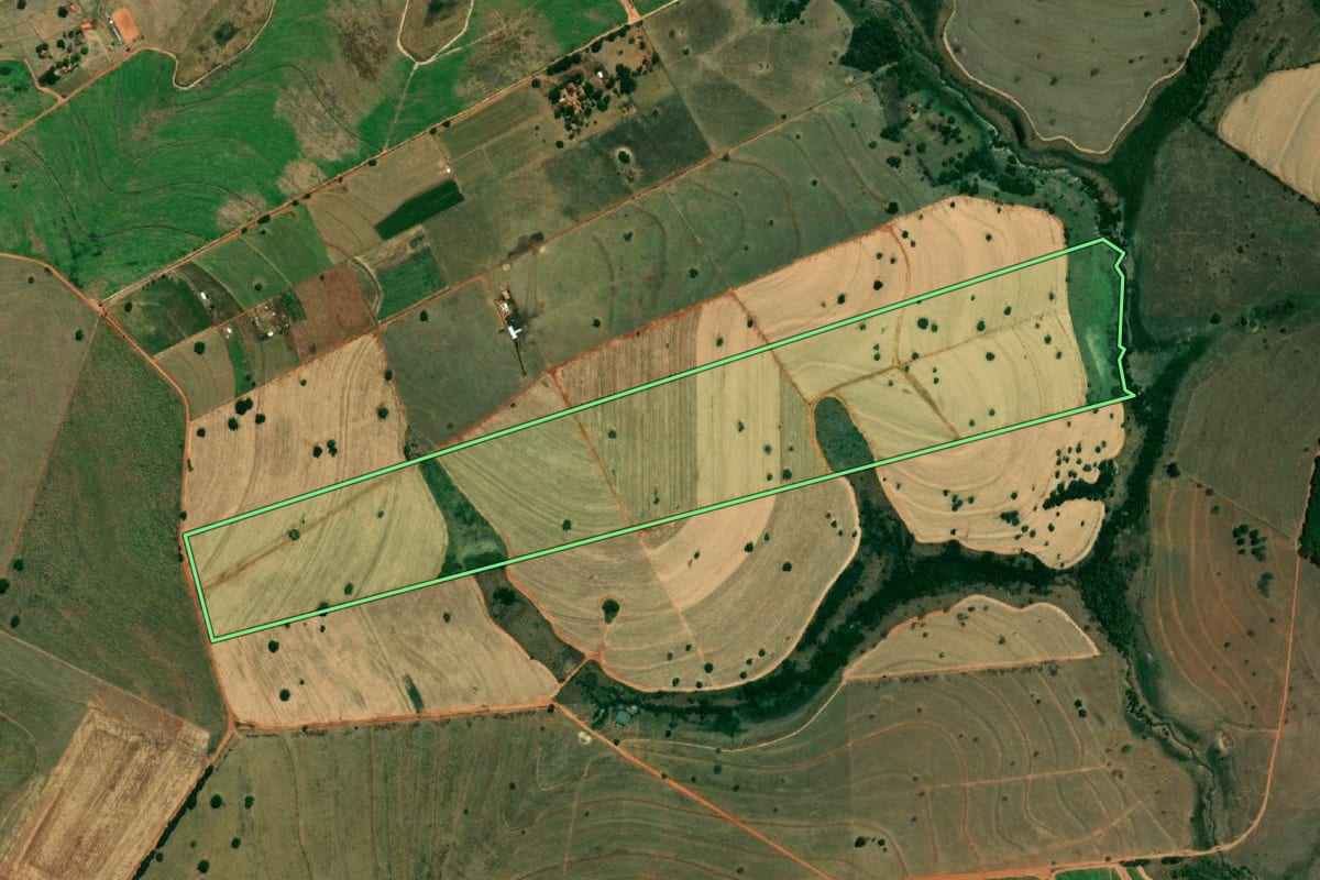 Imagem de satélite do imóvel rural em Floreal (SP), com o contorno declarado no CAR desenhado por cima.