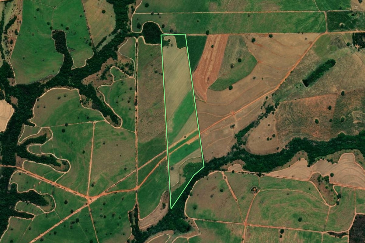 Imagem de satélite do imóvel rural em Floreal (SP), com o contorno declarado no CAR desenhado por cima.