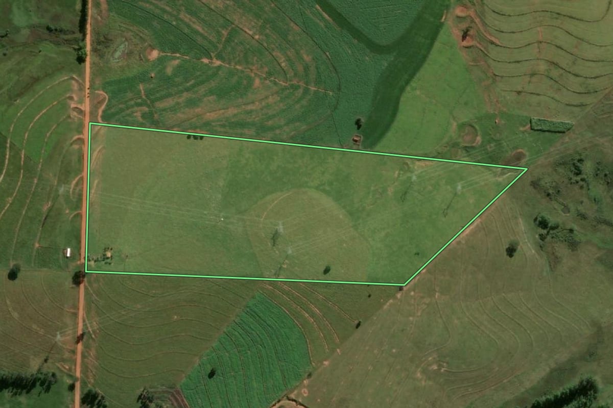 Imagem de satélite do imóvel rural em Flórida Paulista (SP), com o contorno declarado no CAR desenhado por cima.