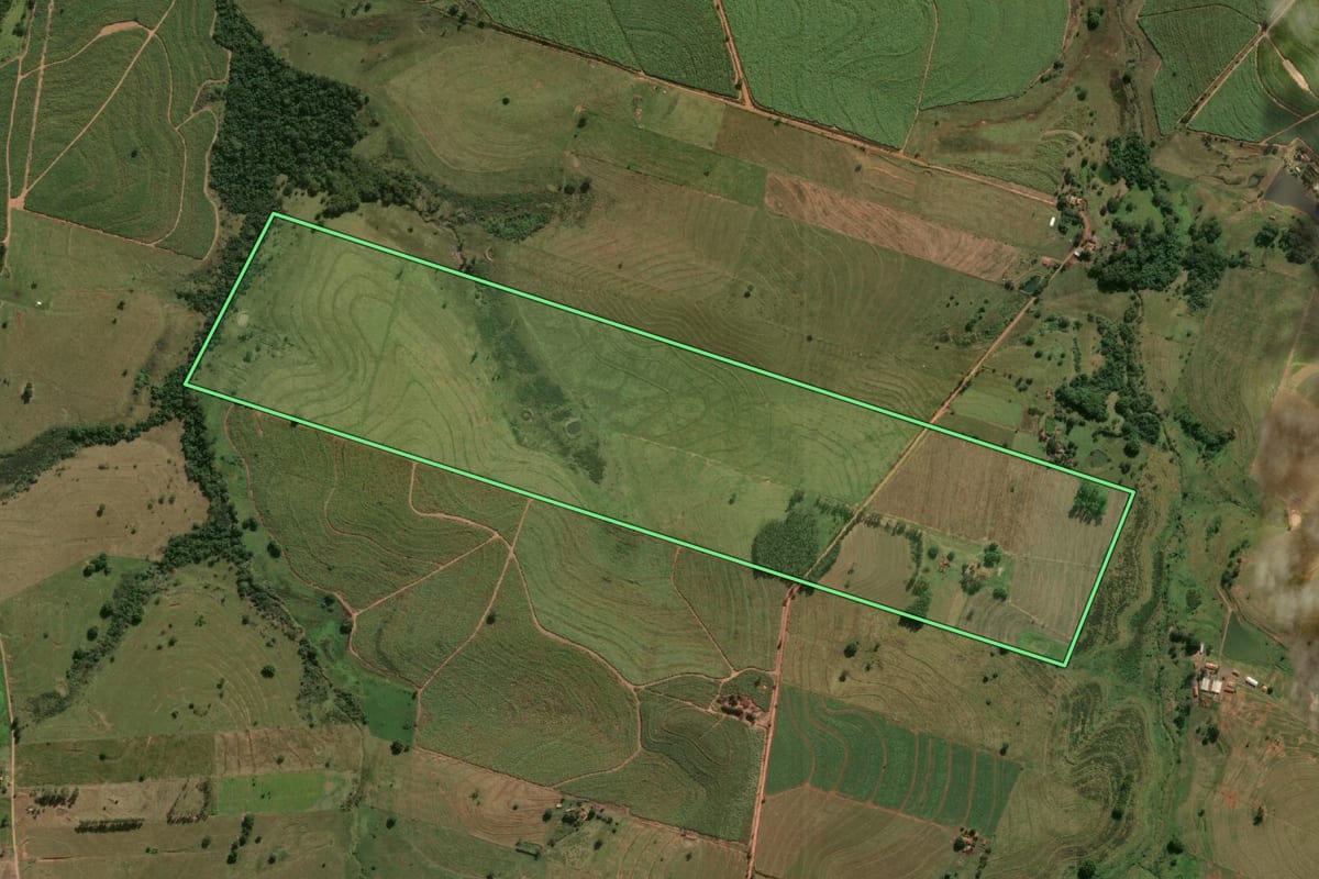 Imagem de satélite do imóvel rural em Flórida Paulista (SP), com o contorno declarado no CAR desenhado por cima.