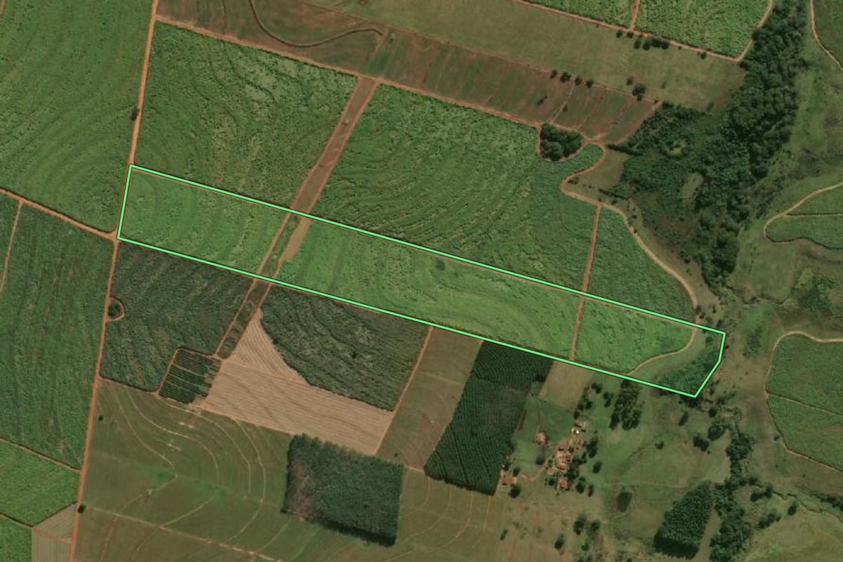 Imagem de satélite do imóvel rural em Flórida Paulista (SP), com o contorno declarado no CAR desenhado por cima.