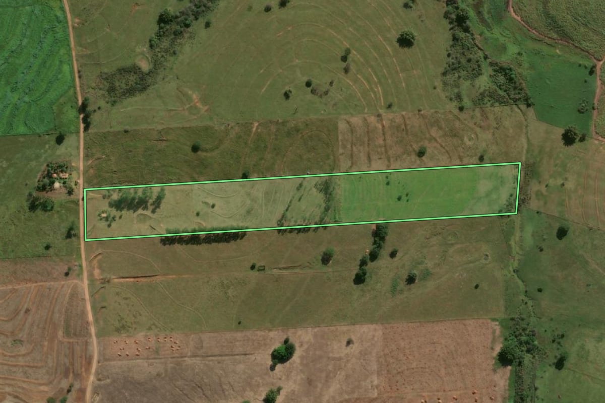Imagem de satélite do imóvel rural em Flórida Paulista (SP), com o contorno declarado no CAR desenhado por cima.