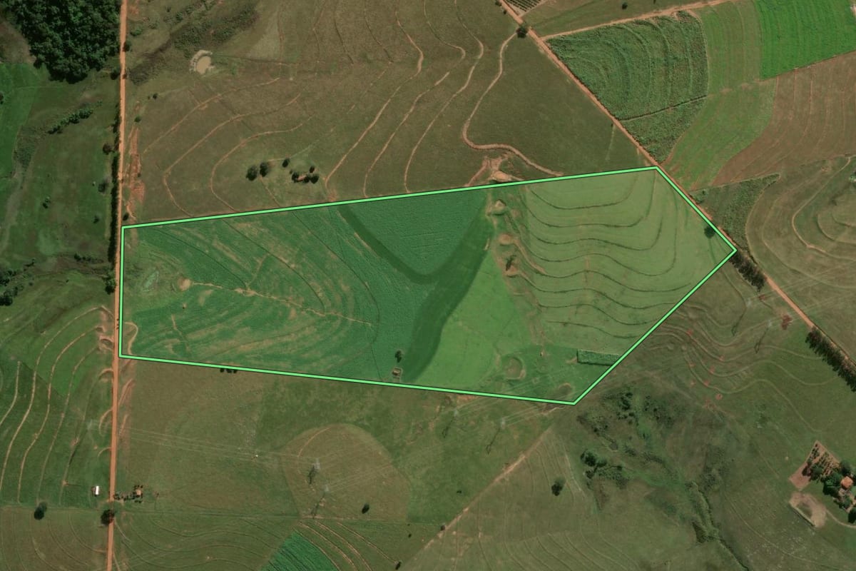 Imagem de satélite do imóvel rural em Flórida Paulista (SP), com o contorno declarado no CAR desenhado por cima.