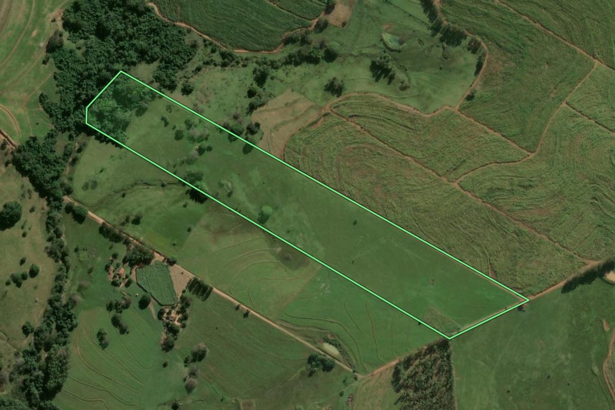 Imagem de satélite do imóvel rural em Flórida Paulista (SP), com o contorno declarado no CAR desenhado por cima.