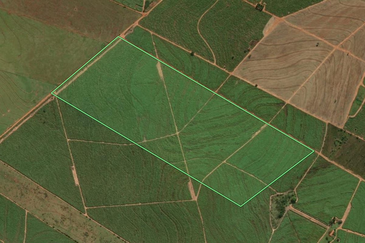 Imagem de satélite do imóvel rural em Flórida Paulista (SP), com o contorno declarado no CAR desenhado por cima.