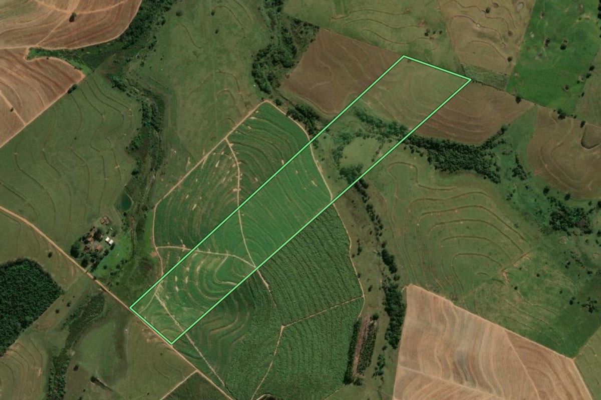 Imagem de satélite do imóvel rural em Flórida Paulista (SP), com o contorno declarado no CAR desenhado por cima.
