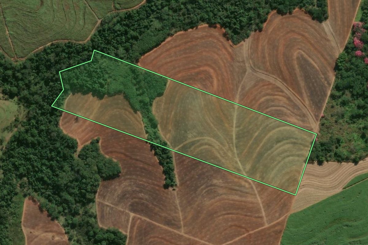 Imagem de satélite do imóvel rural em Flórida Paulista (SP), com o contorno declarado no CAR desenhado por cima.