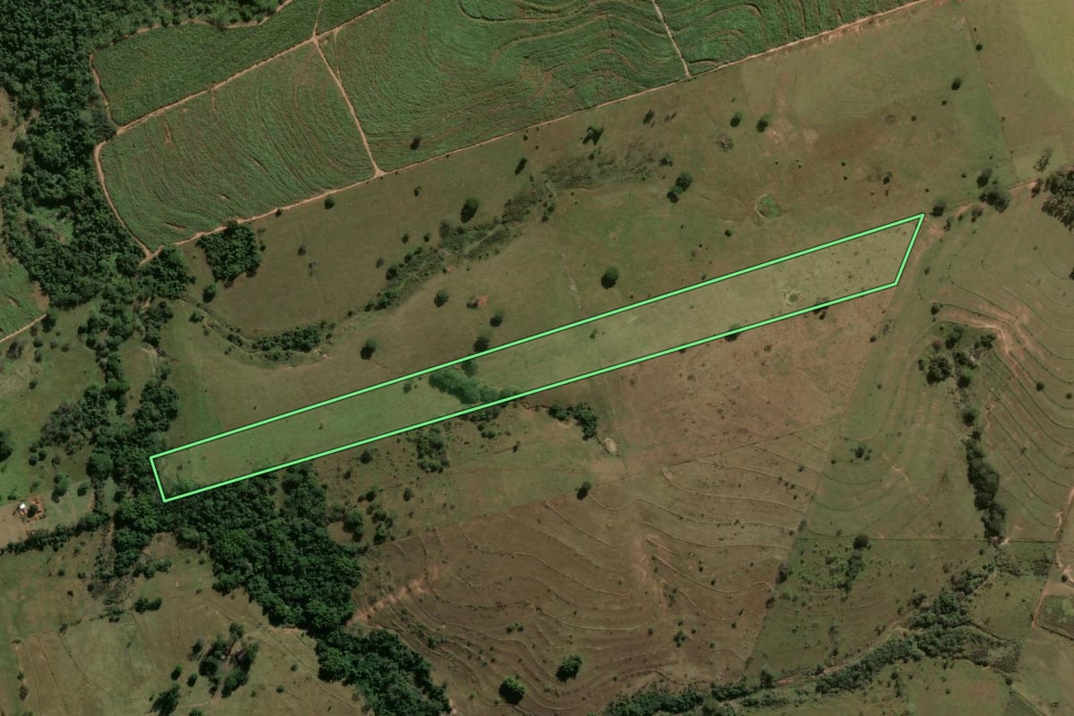 Imagem de satélite do imóvel rural em Flórida Paulista (SP), com o contorno declarado no CAR desenhado por cima.