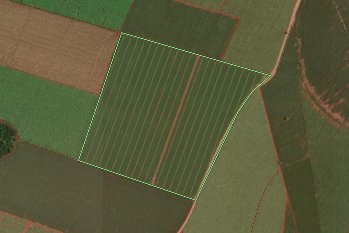 Imagem de satélite do imóvel rural em Florínea (SP), com o contorno declarado no CAR desenhado por cima.