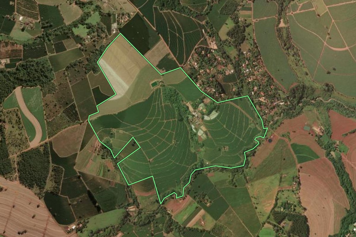 Imagem de satélite do imóvel rural em Franca (SP), com o contorno declarado no CAR desenhado por cima.