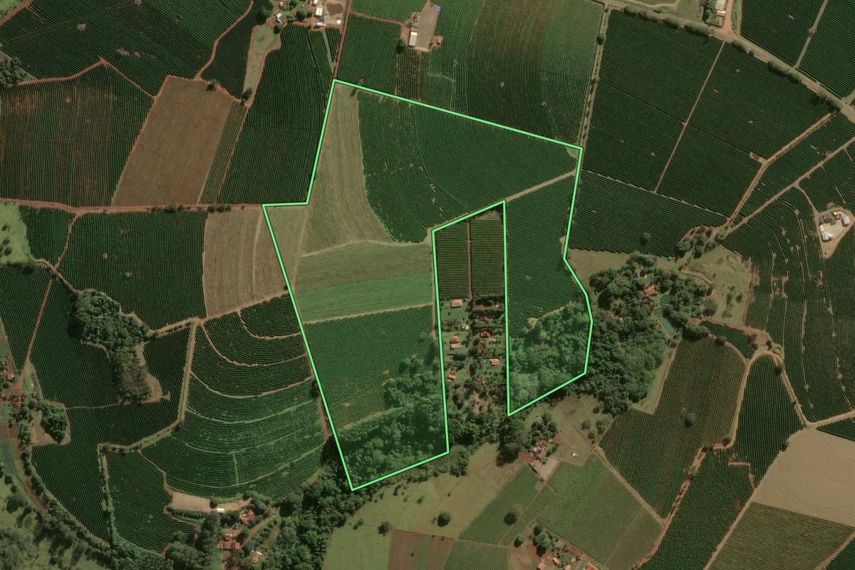 Imagem de satélite do imóvel rural em Franca (SP), com o contorno declarado no CAR desenhado por cima.