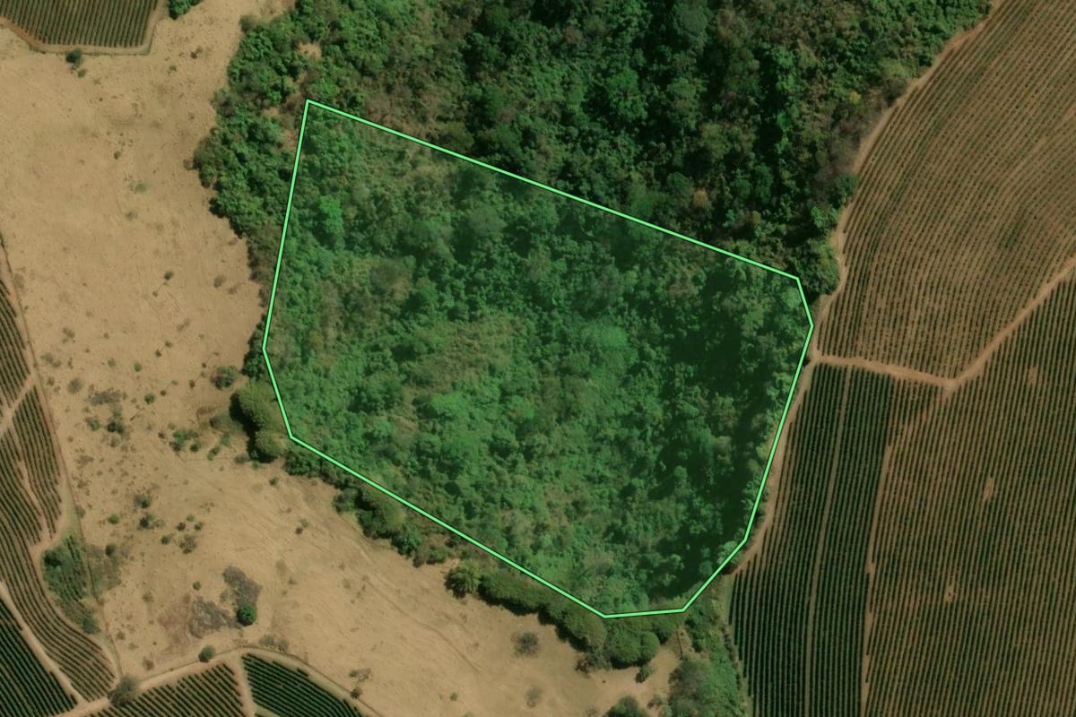 Imagem de satélite do imóvel rural em Franca (SP), com o contorno declarado no CAR desenhado por cima.