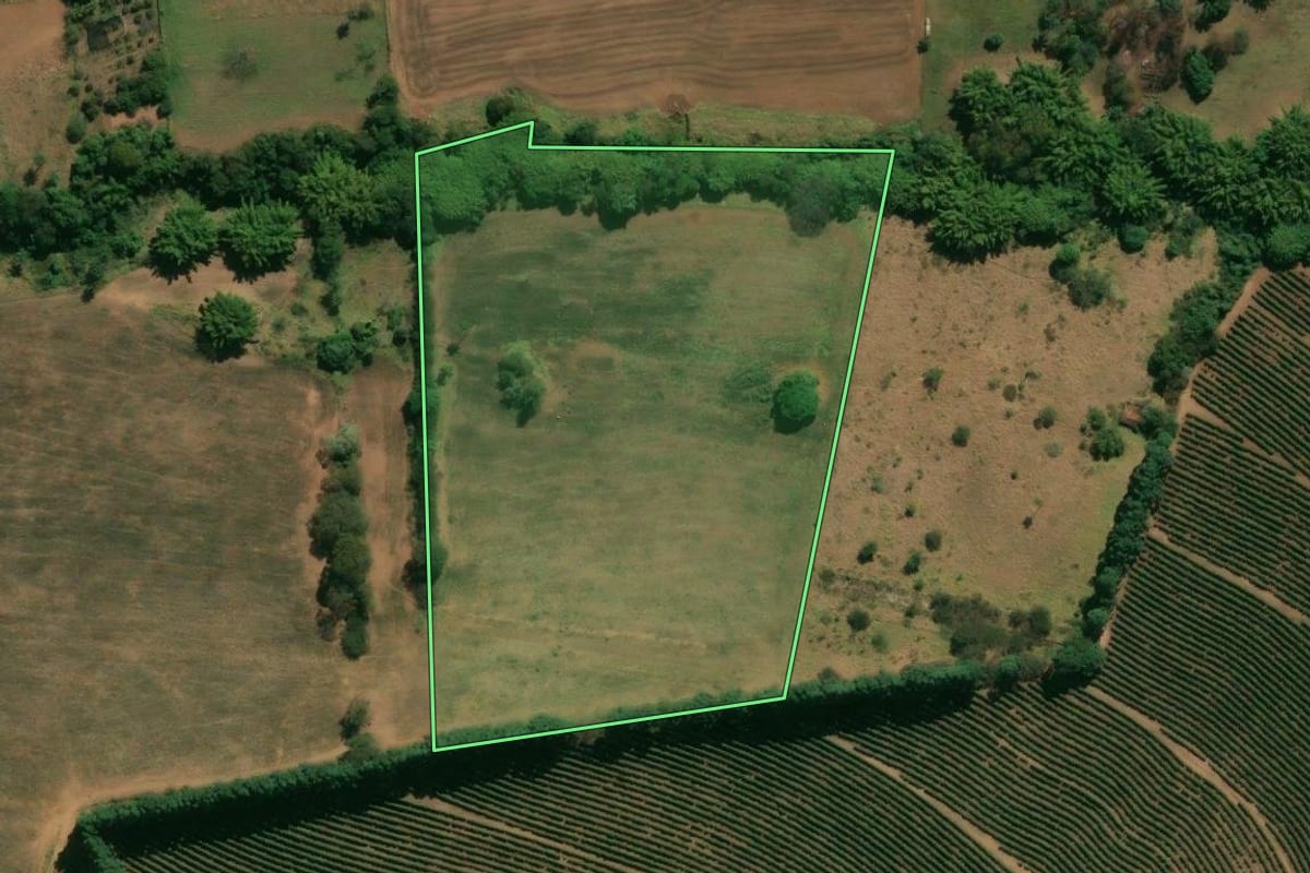 Imagem de satélite do imóvel rural em Franca (SP), com o contorno declarado no CAR desenhado por cima.