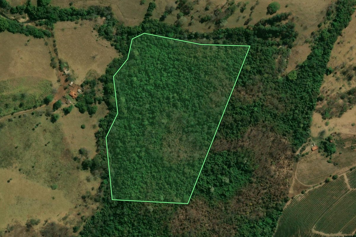 Imagem de satélite do imóvel rural em Franca (SP), com o contorno declarado no CAR desenhado por cima.