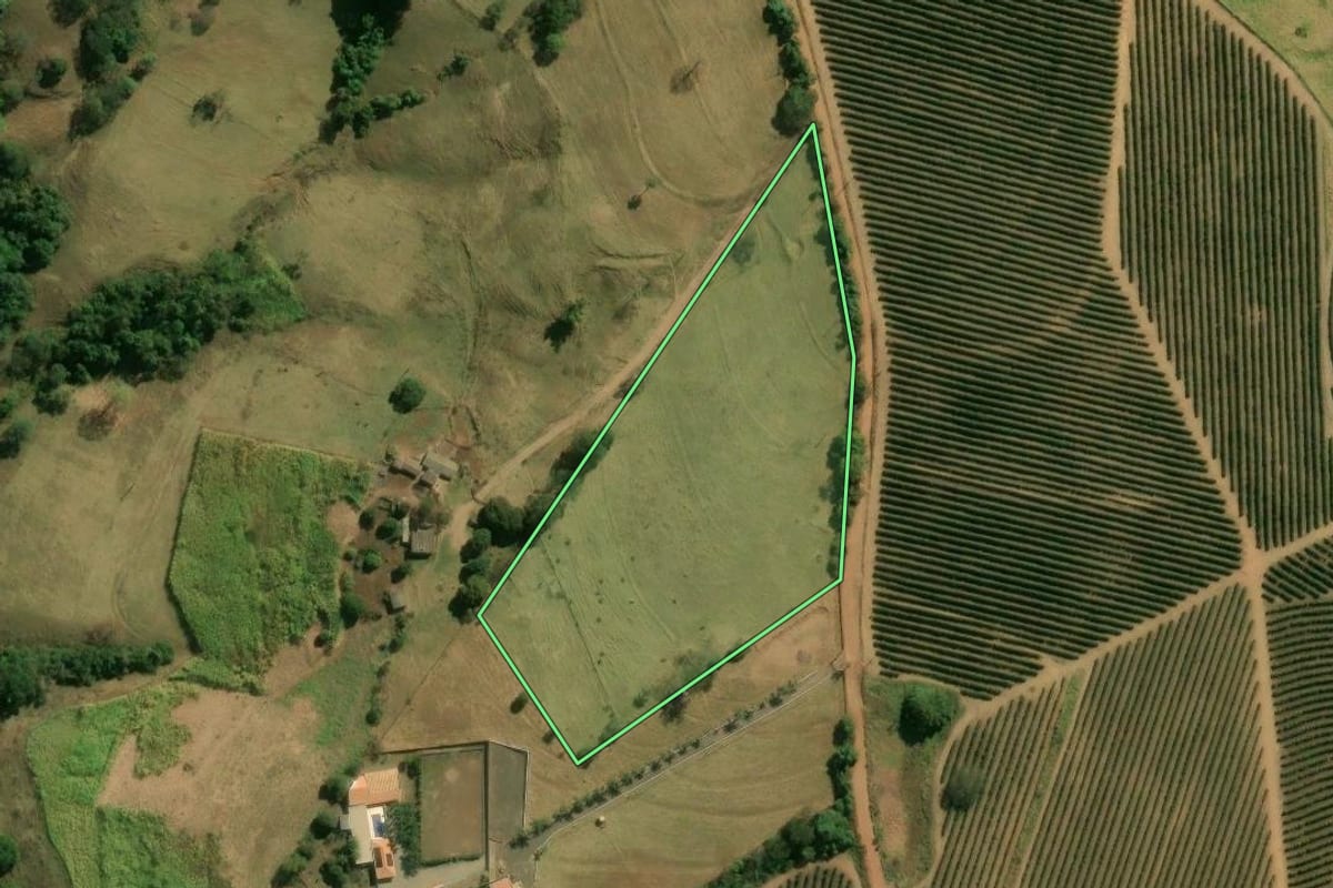 Imagem de satélite do imóvel rural em Franca (SP), com o contorno declarado no CAR desenhado por cima.