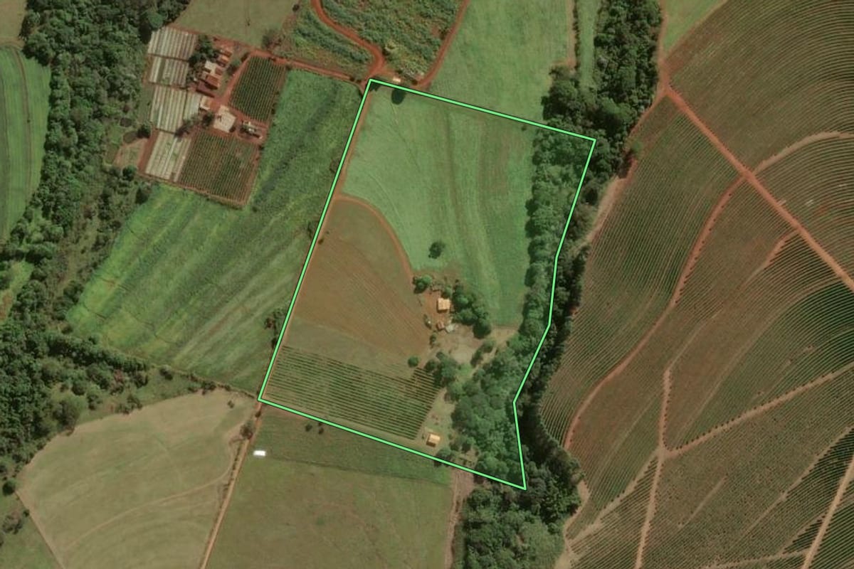 Imagem de satélite do imóvel rural em Franca (SP), com o contorno declarado no CAR desenhado por cima.