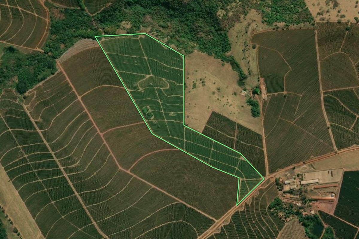 Imagem de satélite do imóvel rural em Franca (SP), com o contorno declarado no CAR desenhado por cima.