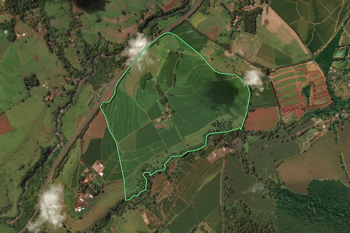 Imagem de satélite do imóvel rural em Franca (SP), com o contorno declarado no CAR desenhado por cima.