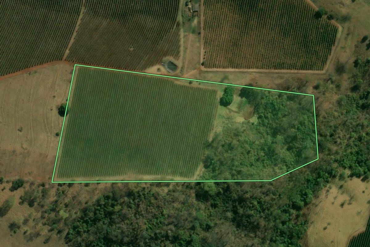 Imagem de satélite do imóvel rural em Franca (SP), com o contorno declarado no CAR desenhado por cima.