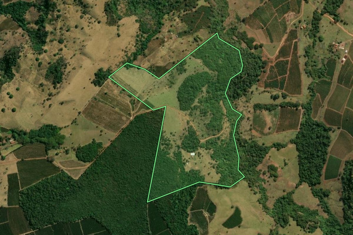 Imagem de satélite do imóvel rural em Franca (SP), com o contorno declarado no CAR desenhado por cima.