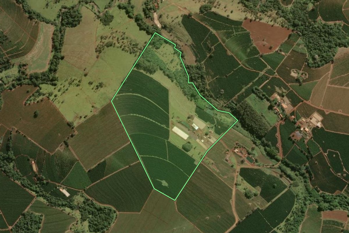 Imagem de satélite do imóvel rural em Franca (SP), com o contorno declarado no CAR desenhado por cima.