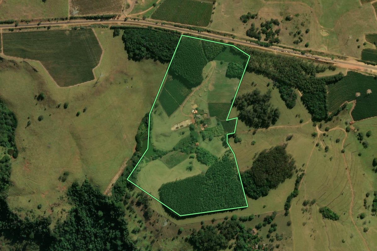 Imagem de satélite do imóvel rural em Franca (SP), com o contorno declarado no CAR desenhado por cima.