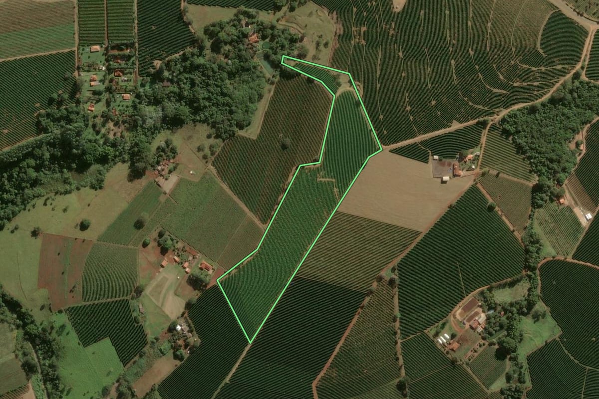 Imagem de satélite do imóvel rural em Franca (SP), com o contorno declarado no CAR desenhado por cima.