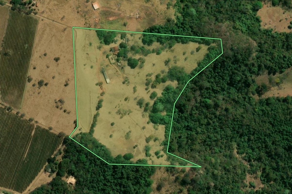 Imagem de satélite do imóvel rural em Franca (SP), com o contorno declarado no CAR desenhado por cima.