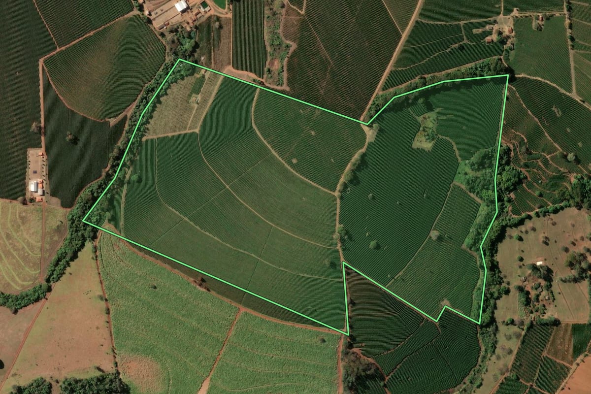 Imagem de satélite do imóvel rural em Franca (SP), com o contorno declarado no CAR desenhado por cima.