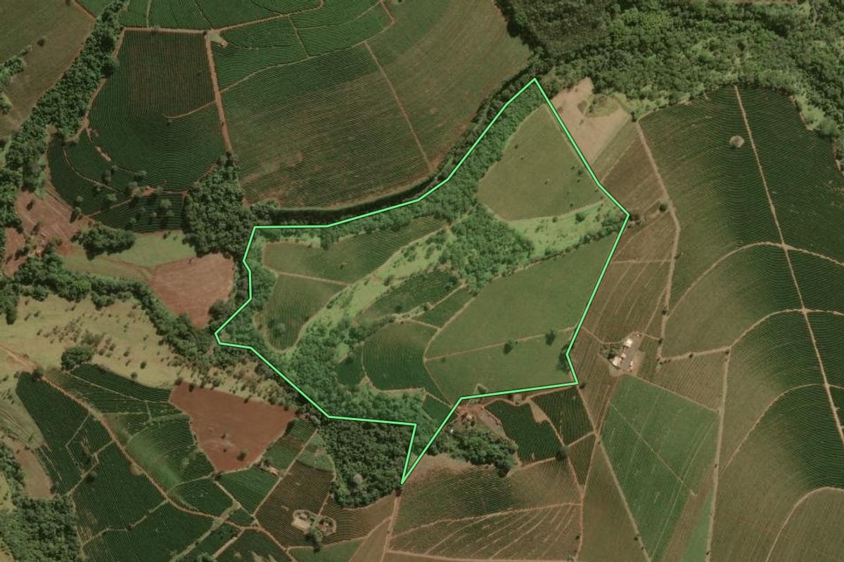 Imagem de satélite do imóvel rural em Franca (SP), com o contorno declarado no CAR desenhado por cima.