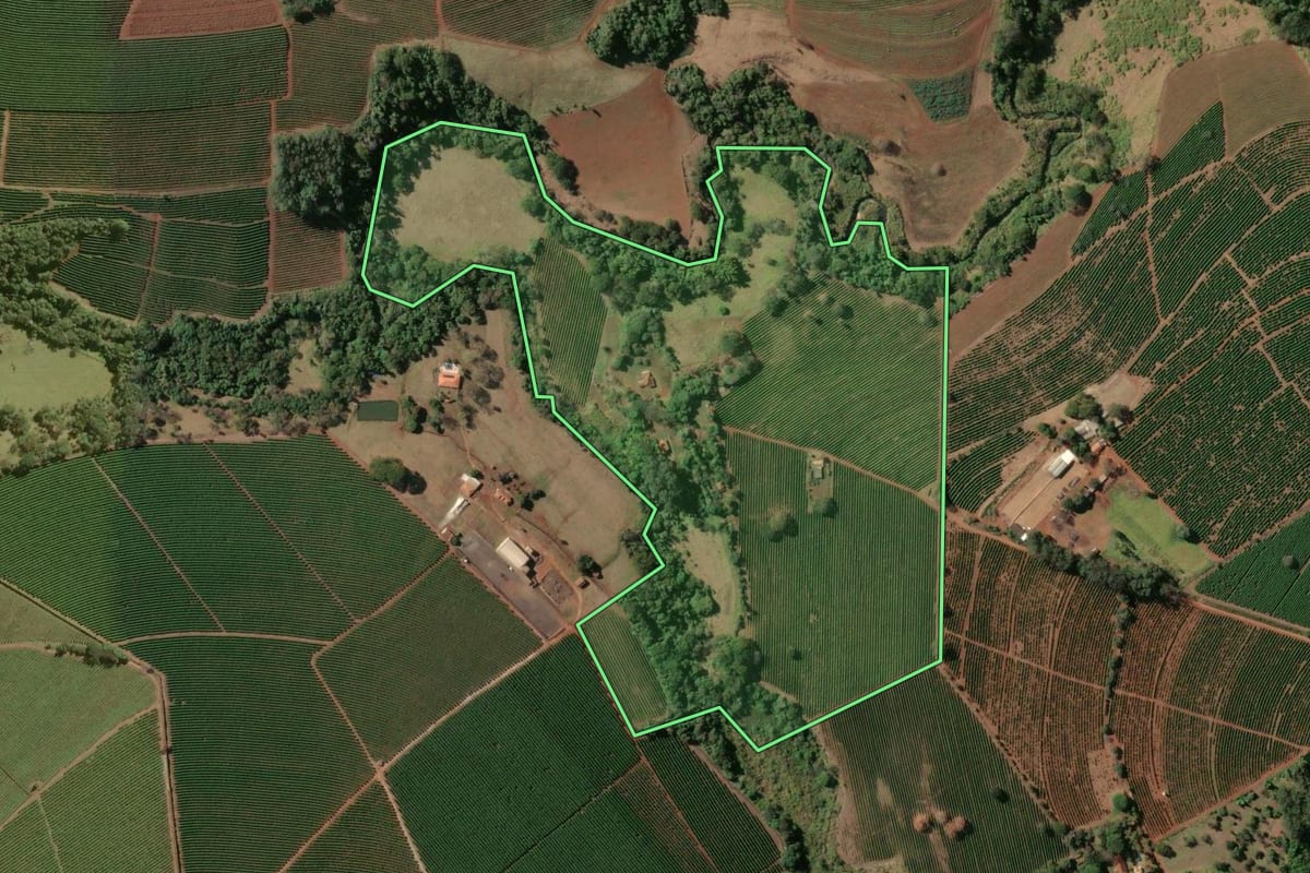 Imagem de satélite do imóvel rural em Franca (SP), com o contorno declarado no CAR desenhado por cima.