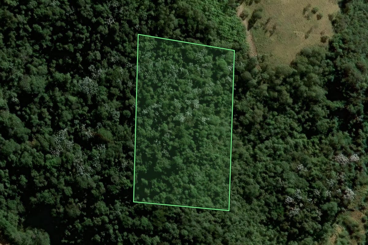 Imagem de satélite do imóvel rural em Francisco Morato (SP), com o contorno declarado no CAR desenhado por cima.