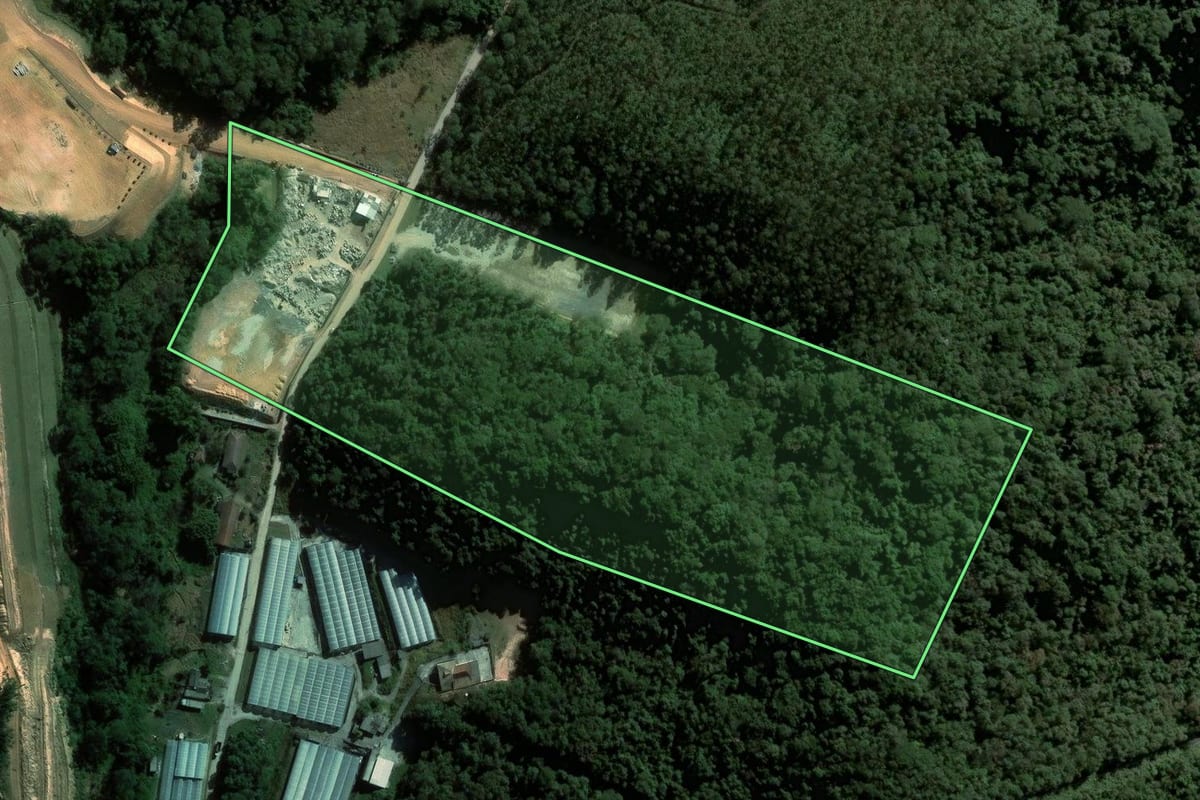 Imagem de satélite do imóvel rural em Franco da Rocha (SP), com o contorno declarado no CAR desenhado por cima.
