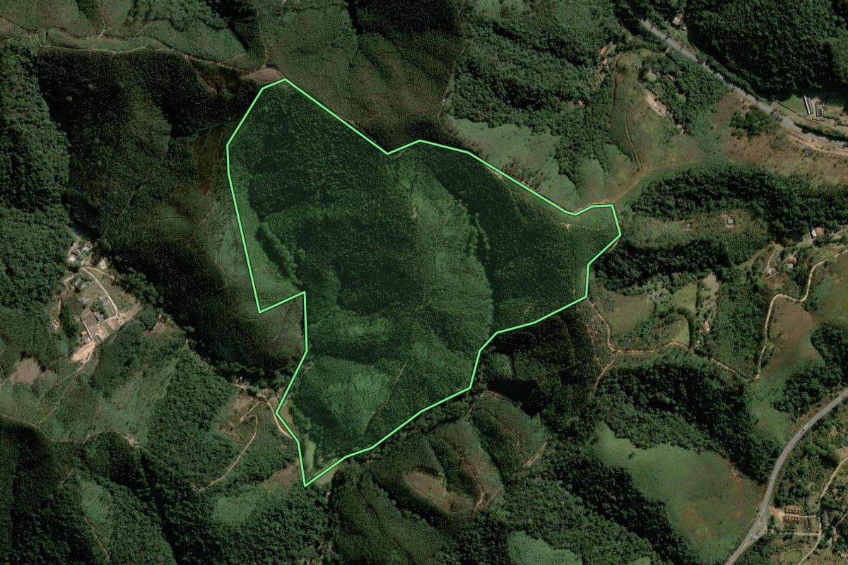 Imagem de satélite do imóvel rural em Franco da Rocha (SP), com o contorno declarado no CAR desenhado por cima.