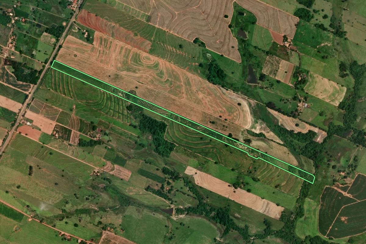 Imagem de satélite do imóvel rural em Gabriel Monteiro (SP), com o contorno declarado no CAR desenhado por cima.