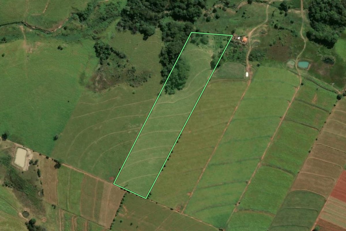 Imagem de satélite do imóvel rural em Gabriel Monteiro (SP), com o contorno declarado no CAR desenhado por cima.
