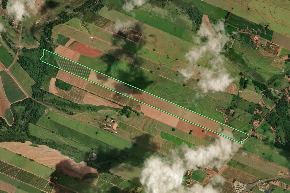 Imagem de satélite do imóvel rural em Gabriel Monteiro (SP), com o contorno declarado no CAR desenhado por cima.
