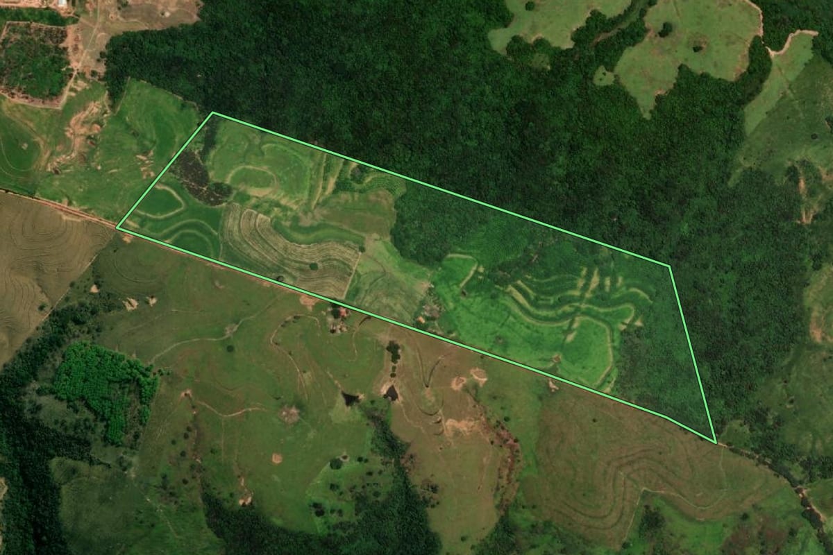 Imagem de satélite do imóvel rural em Gália (SP), com o contorno declarado no CAR desenhado por cima.