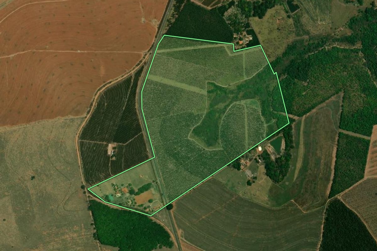 Imagem de satélite do imóvel rural em Gália (SP), com o contorno declarado no CAR desenhado por cima.